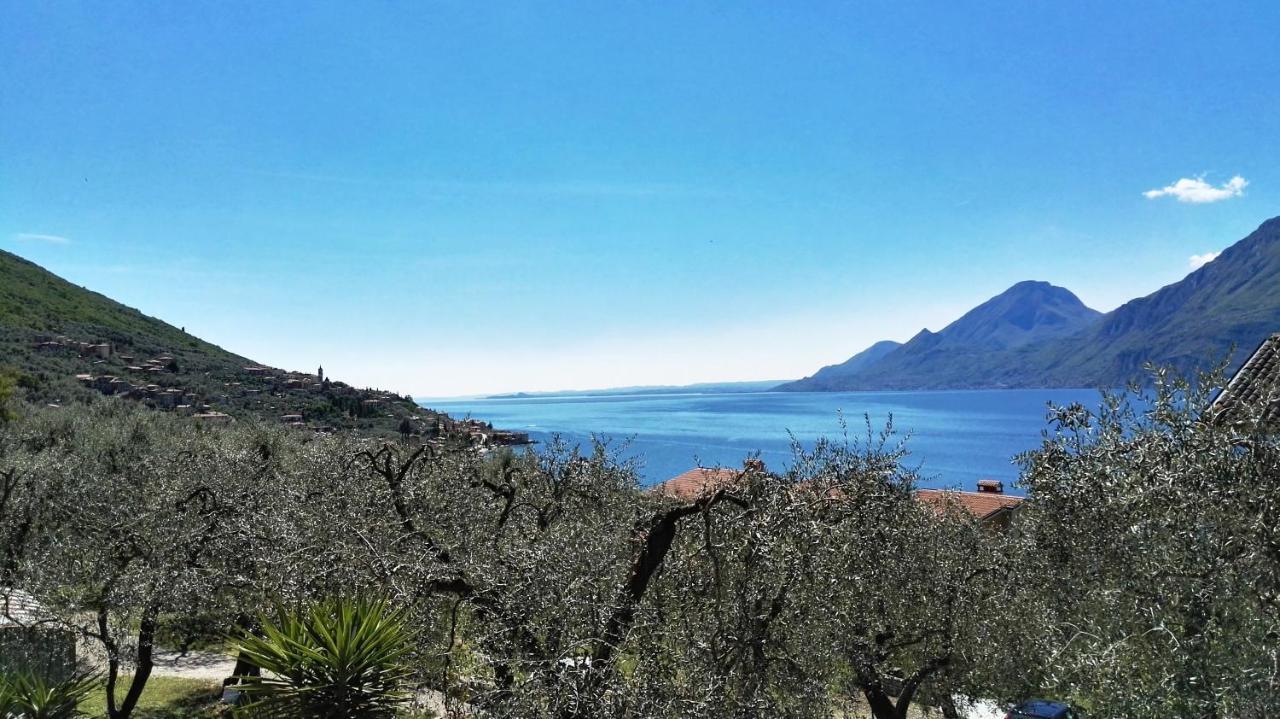 Appartamenti Casa Nina, Lago,Montagne, Uliveti Brenzone sul Garda Eksteriør billede